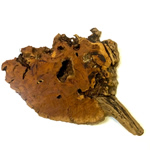 Organic Wood-3