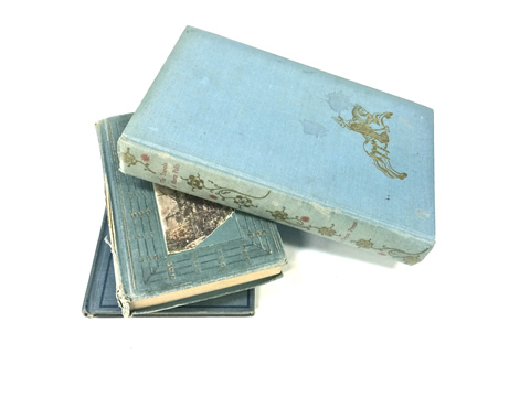 www.classicvintagerentals.com ? 0371 - Assorted Blue Books