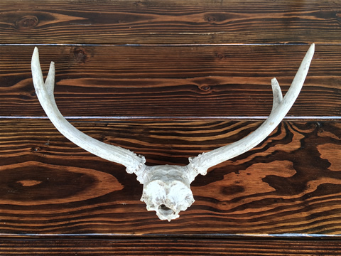 www.classicvintagerentals.com ? 0407 - Antler Set