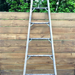 Natural Ladder