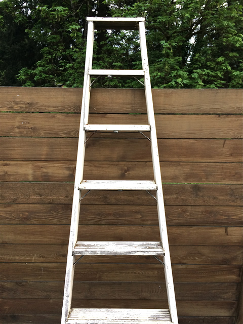 www.classicvintagerentals.com ? 0666 - White Ladder