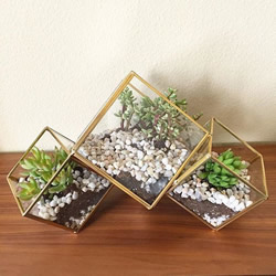 www.classicvintagerentals.com ? 2102 - Cube Terrarium