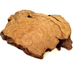 Organic Wood-2