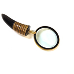 Magnifying Glass