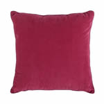 Raspberry Pillow