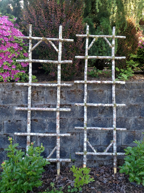 www.classicvintagerentals.com ? 5498 - Birch Ladders
