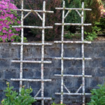 Birch Ladders