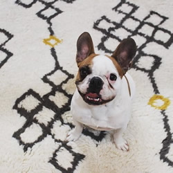 www.classicvintagerentals.com ? 9999 - Shag Rug
