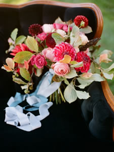 Elizabeth Anne Feature